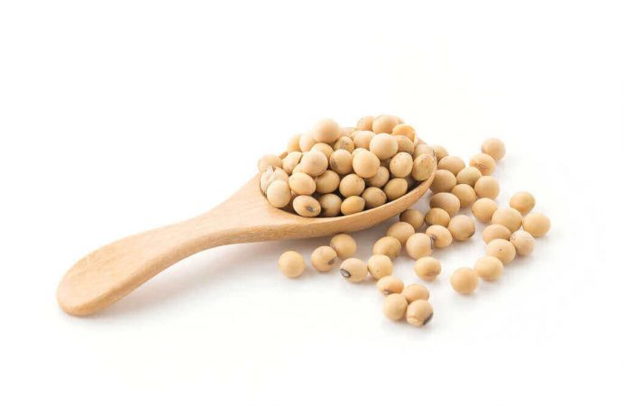 سویا، بسیار مفید و مؤثر برای کاهش گرگرفتگی ناشی ار یائسگی